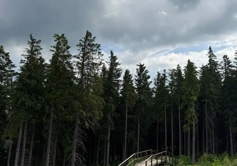 8. A + 8. B na škole v přírodě...