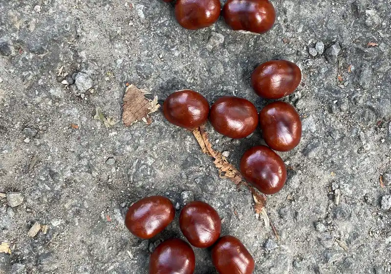 Podzim v 1. A